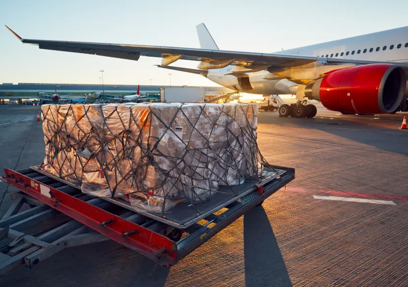 ¿Qué necesitamos para volar?